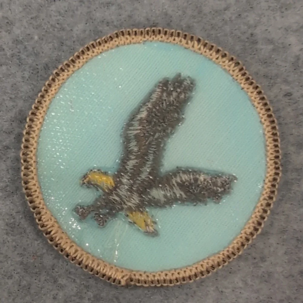 Embroidered Eagle Patch Badge Flying Design‎ Circle Applique Apparel Accessory